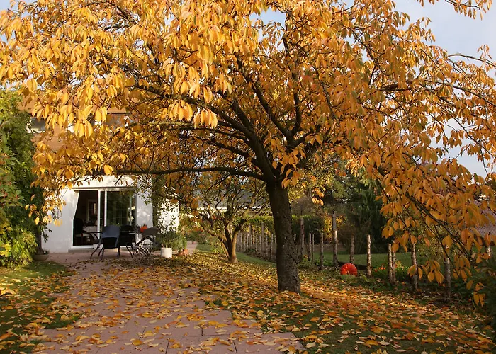 Couette-café Les De La Maxe